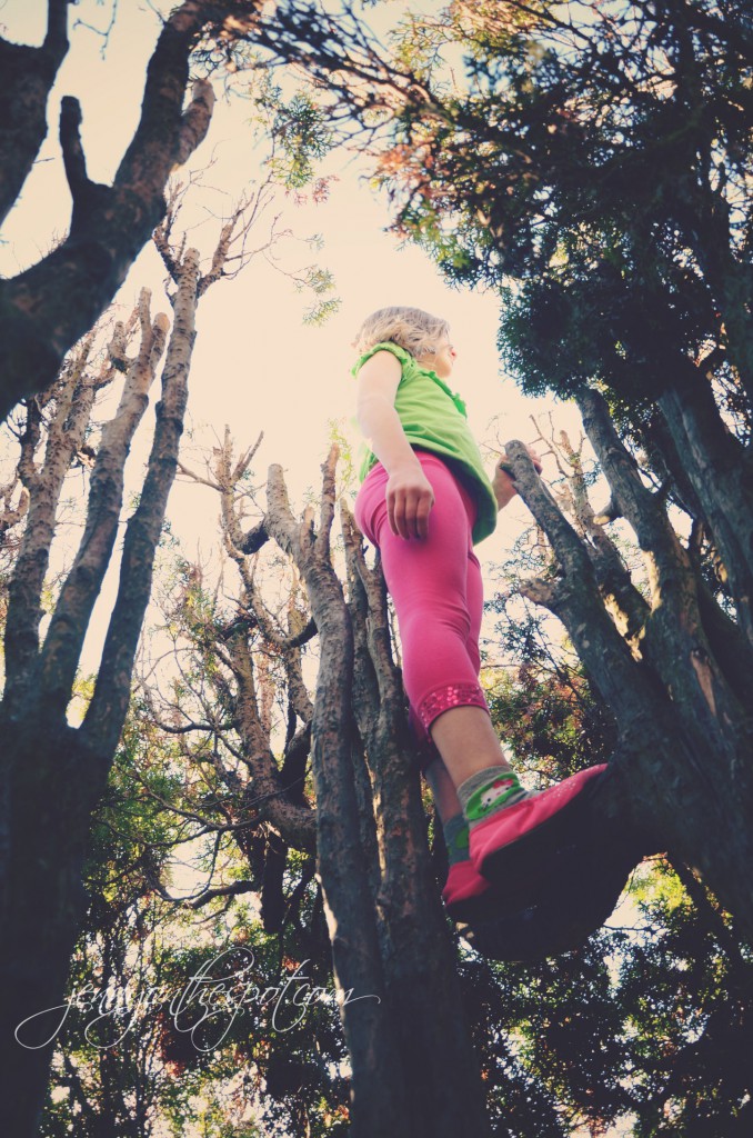 lucy up a tree via @jennyonthespot