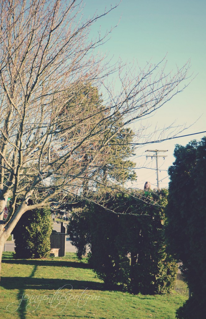 lucy up a tree via @jennyonthespot